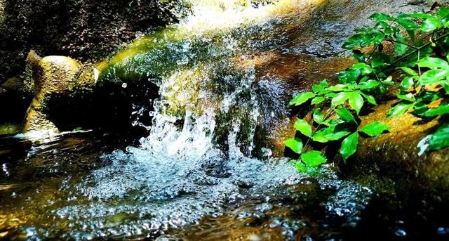 商洛必玩景点推荐一日游，春游旅游穿梭在商洛的景区里