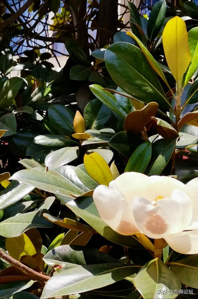 南通的战略位置，江苏南通2023年展望