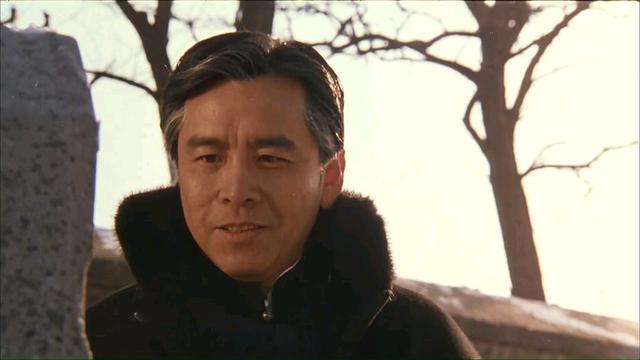姜大卫电影全集，邵氏武打片姜大卫全部电影（陈惠敏的5部古装电影）