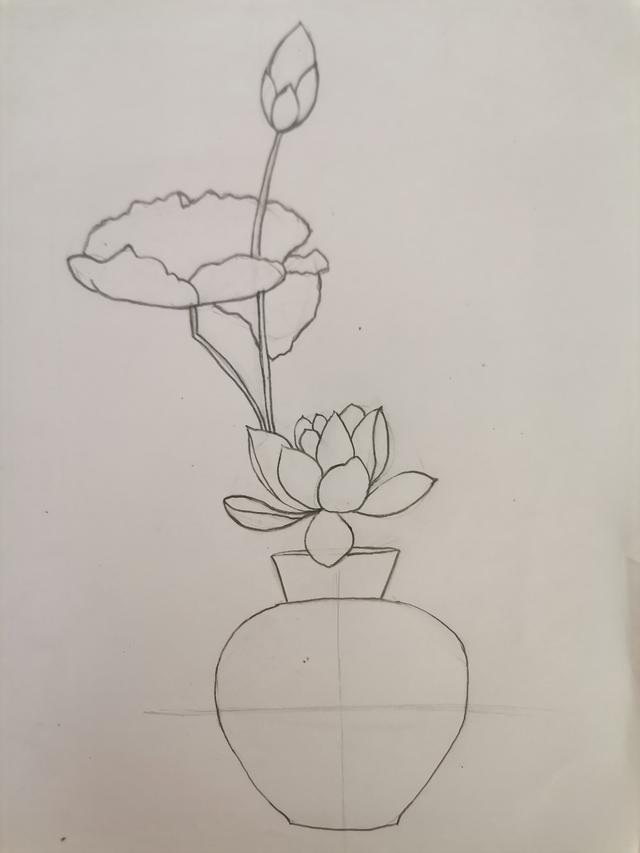 速写入门基础画花卉，7步通俗易懂的速写画画入门教程