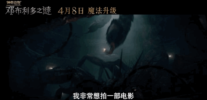 有哪些神奇的动物，15种你需要了解的神奇动物（10种不寻常的神奇动物很难想象它们独特的模样）