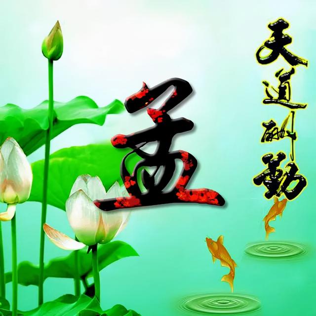 荷花头像图片大全，荷花头像高清图