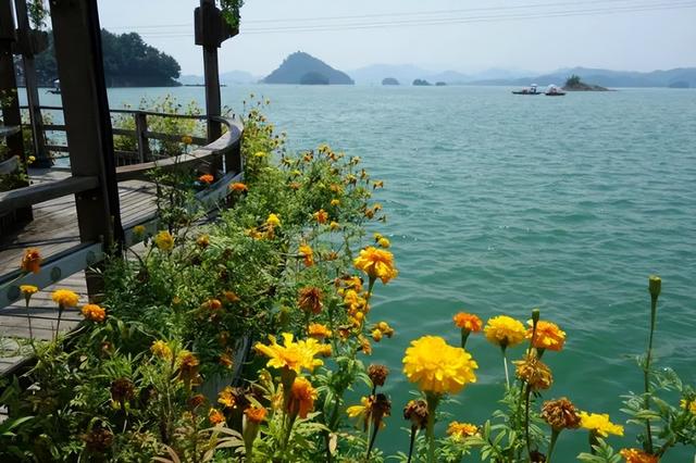 夏天去哪里旅游，夏天适合去哪里旅游避暑的地方（这些消暑纳凉地请收藏好）