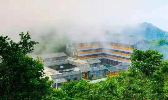 广东灵山荔枝采摘，灵山荔枝已成熟