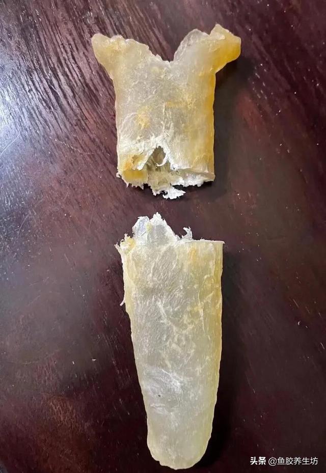 人工合成鱼胶图片，合成鱼胶怎么分辨