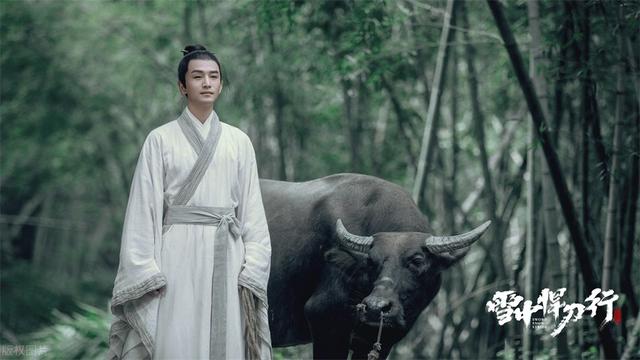 雪中悍刀行人物介绍，雪中悍刀行详细人物介绍（《雪中悍刀行》人物角色资料大全）