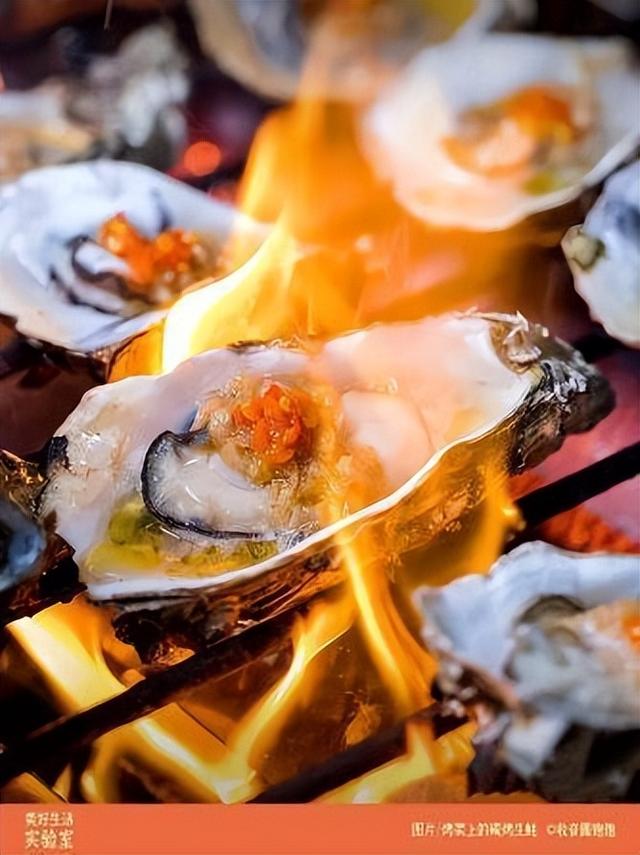 福建珍珠蚝跟鲜活生蚝的区别，舌尖福建漳州