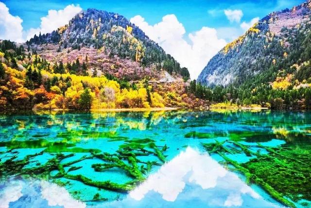 九寨沟有哪些景点，九寨沟必去景点（大九寨沟最经典的十大景点）