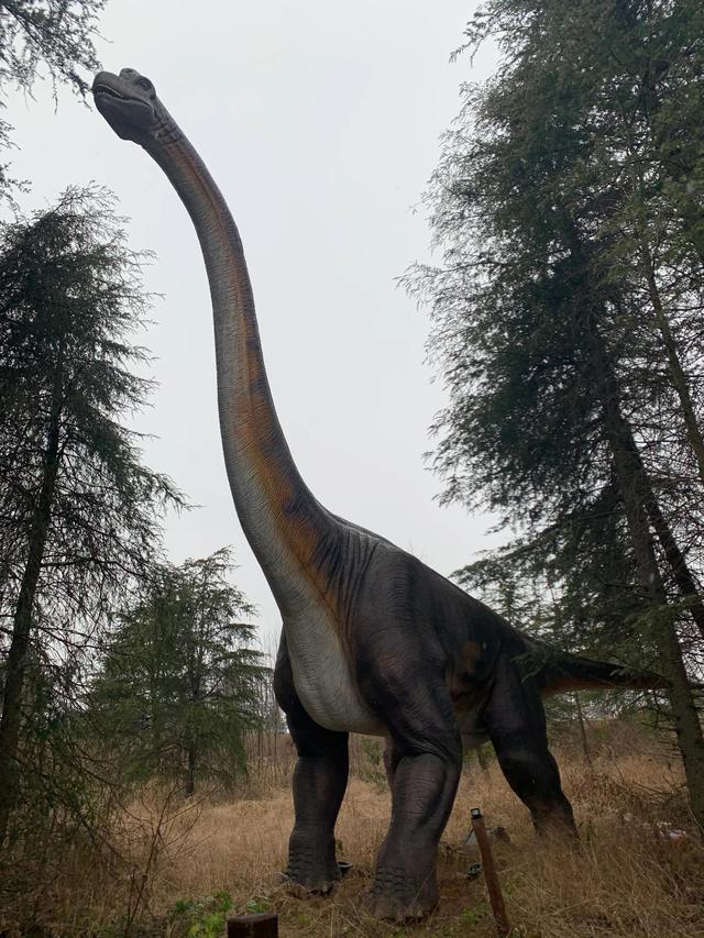 南京冬天哪里好玩，冬季南京遛娃必去景点