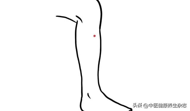 土型人肥胖(土型人怎么减肥)