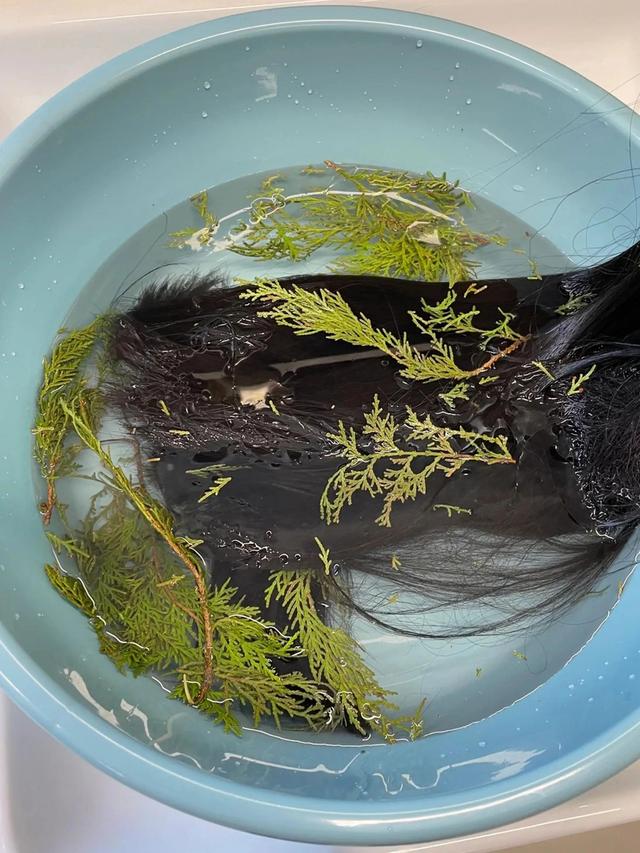 侧柏叶洗头方法，侧柏叶洗头的正确方法如下