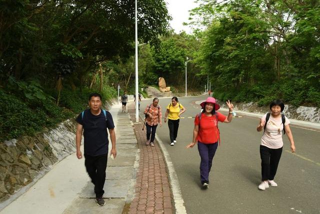 关于深圳梧桐山简介，深圳之巅——梧桐山