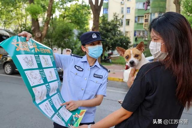 文明养犬依法养犬，文明养犬倡议书