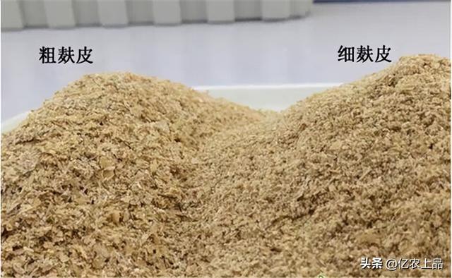 麦麸是什么东西，麦麸的用途和功效是什么（麦麸在养牛过程中有妙用）