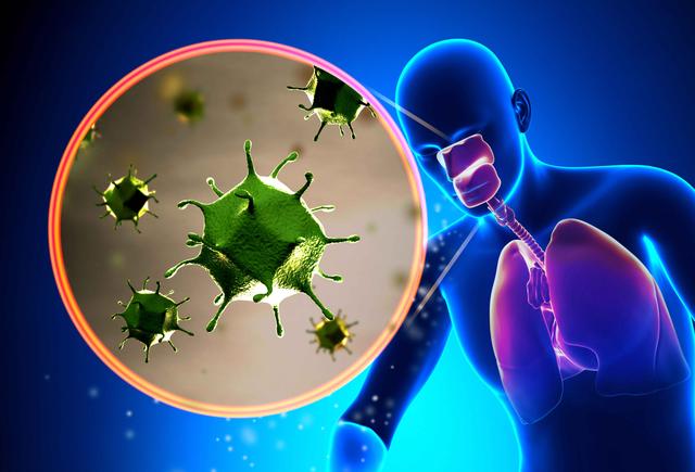 清肺润肺养肺最好方法，想要养护肺部健康（养肺清肺最好方法）