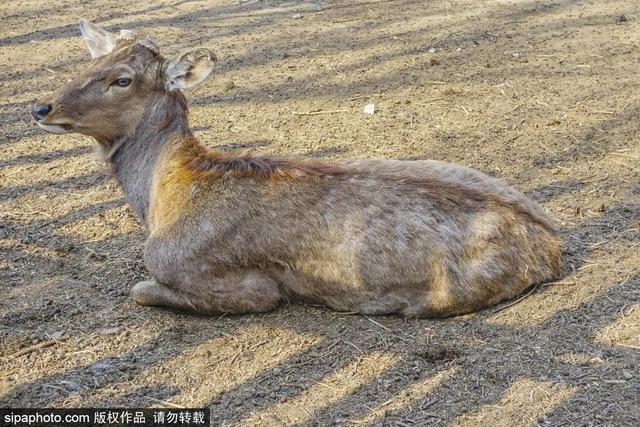 北京带孩子玩的地方推荐，北京小宝宝周末遛娃必备好去处（带娃去京郊这4个天然氧吧游山戏水~）