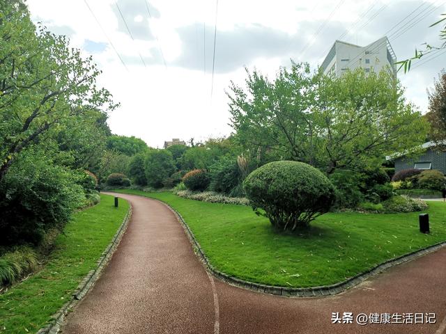 上海最值得徒步的路线，徒步上海普陀区甘泉公园