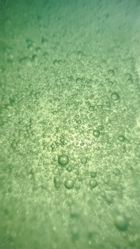 绿色星球有哪些，豆瓣评分9.8的绿色星球