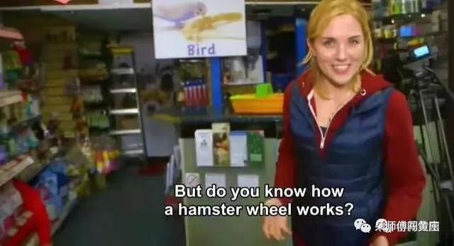 抓住暑假尾巴体验寻宝乐趣，快收好这些宝藏资源