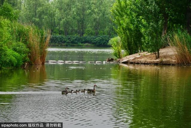 湿地公园值得一游，这几个免费的湿地公园景色宜人