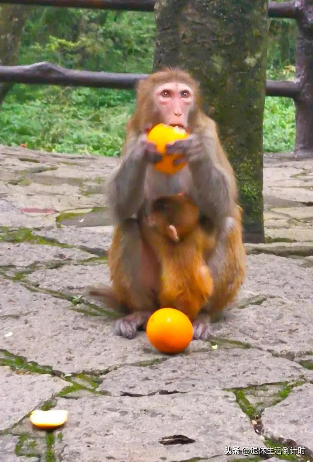 去张家界跟团游，张家界旅游纯玩团攻略和花费