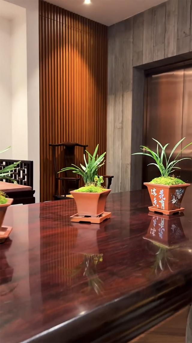 兰花的意思和寓意是什么，兰花是高洁典雅的象征