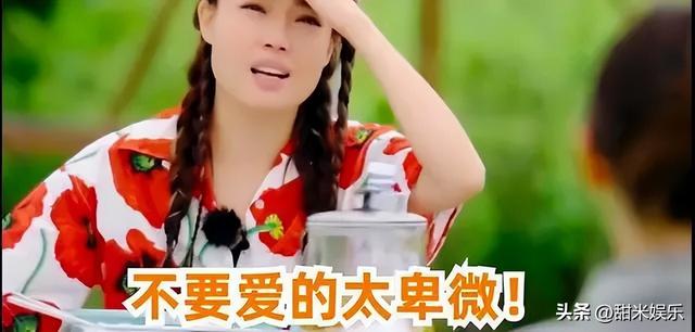 王朔与王子文私下关系，与贾乃亮传绯闻多年、未婚生子