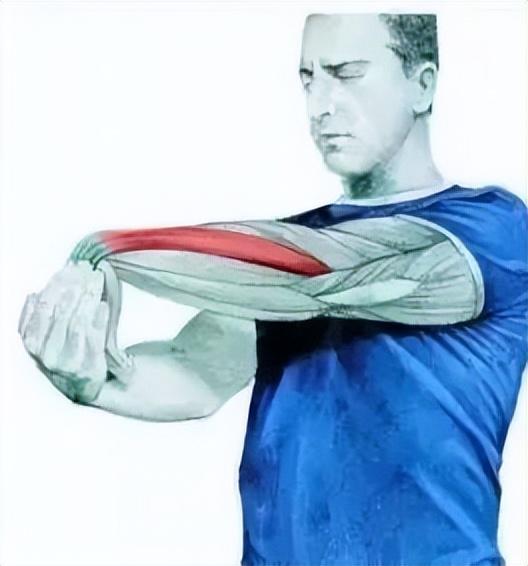 10分钟懒人拉伸训练动作，这6组33个拉伸动作绝了