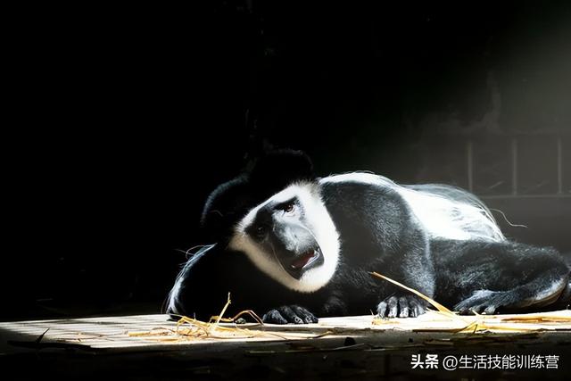 人生艺术照欣赏，浅谈油画超写实人体艺术