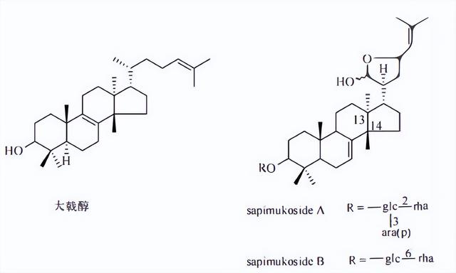 萜类的作用及功能，植物功效成分-三萜及其苷类