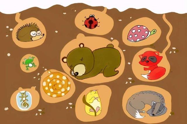熊为什么冬眠时会睡这么久，处在冬眠状态下的熊