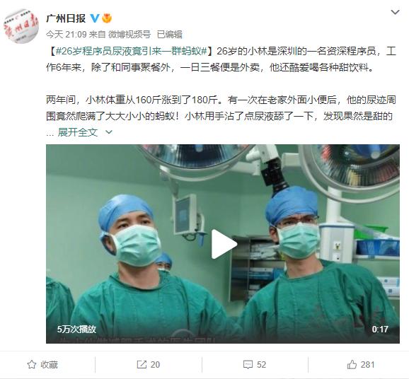 蚂蚁糖尿病(糖尿招蚂蚁)