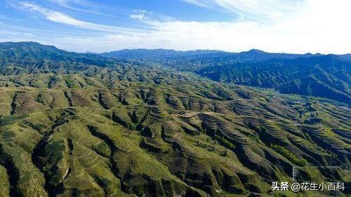 山西的民风民俗介绍，你不知道的山西特色民俗文化