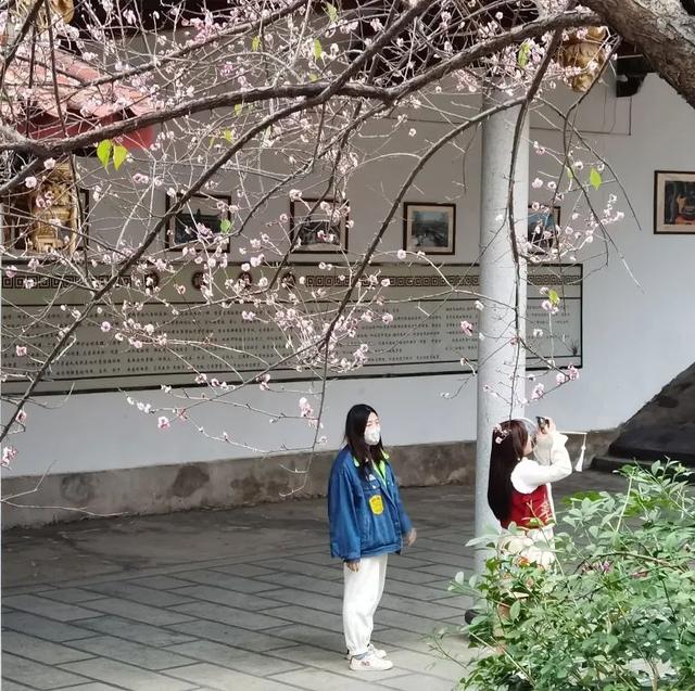 莆田普陀山在哪，莆田普陀山风景区