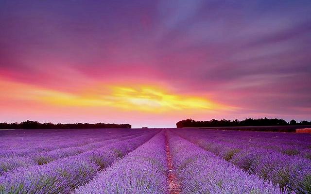 弗洛伊德人格发展五个阶段，弗洛伊德精神分析理论5个时期