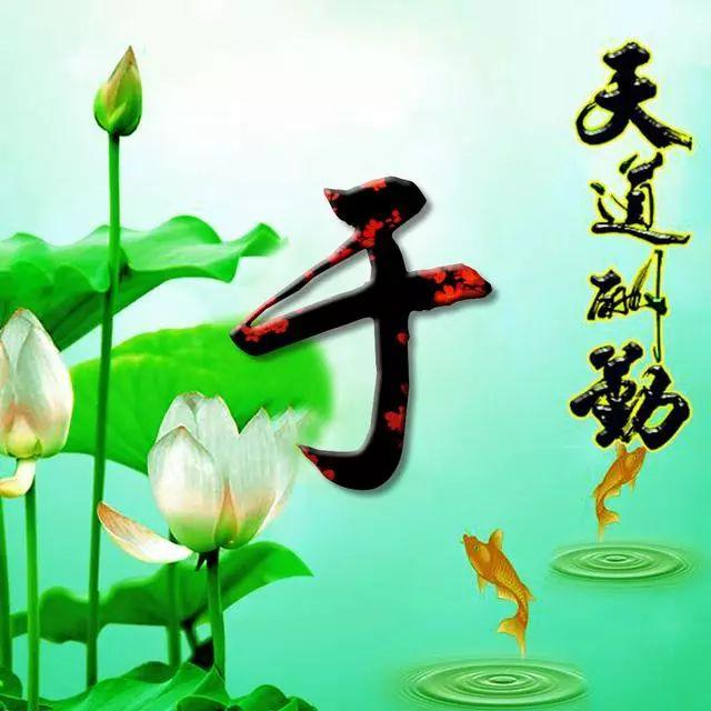 荷花头像图片大全，荷花头像高清图