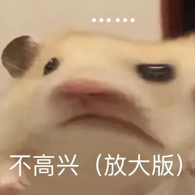 小仓鼠动态迷你表情包，变形脸仓鼠可爱老鼠