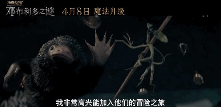 有哪些神奇的动物，15种你需要了解的神奇动物（10种不寻常的神奇动物很难想象它们独特的模样）