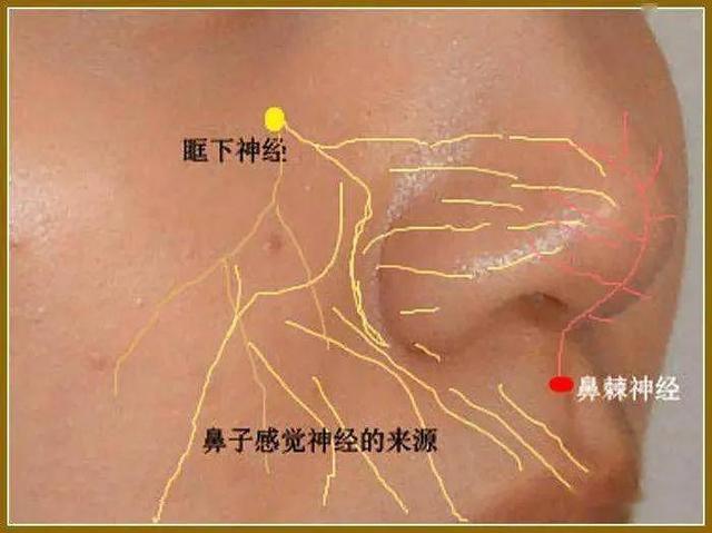 糖尿病鼻子麻(糖尿病鼻子麻木吃什么药)