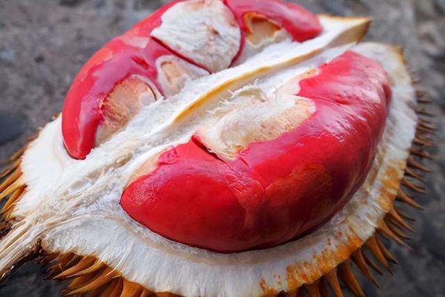 懂一只榴莲背后的故事，洪小鱼一颗榴莲的前世今生