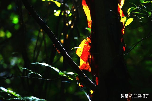 兰州黄土山旅游景点，兰州北山行随感12月23