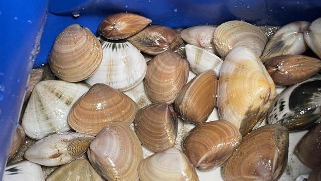 广东海滩日出旅游攻略，南澳岛绝美拍照打卡地‼️