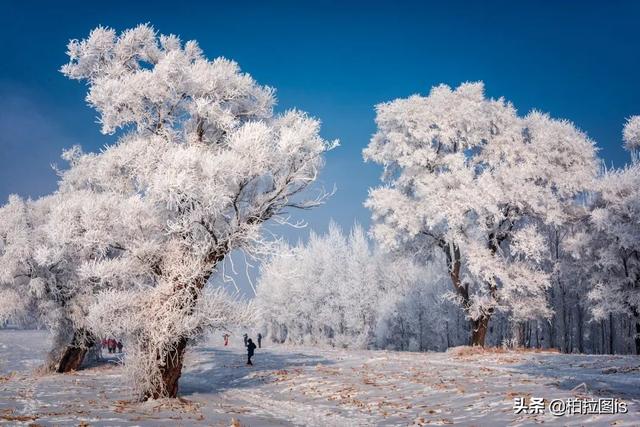 一生要去的地方，一个人旅行必去十个地方（一生最值得去的30个地方）