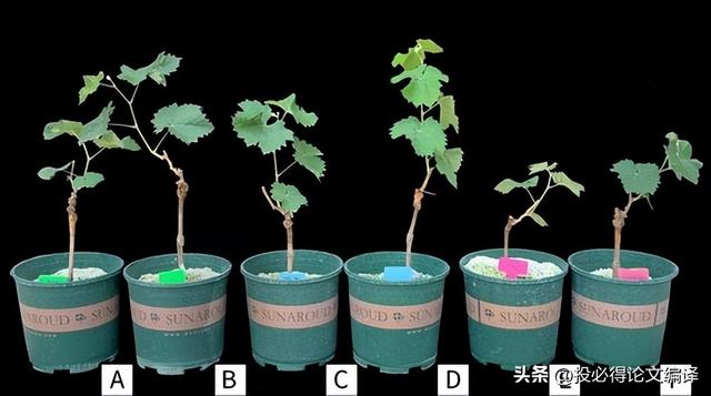 sci论文网站，最新SCI论文发表于Q1期刊