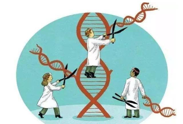 仿生动物科普，人类走进造物主时代