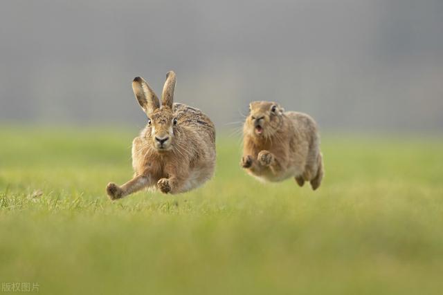人做梦一般梦到什么人，10种最常见的梦你梦见过几个