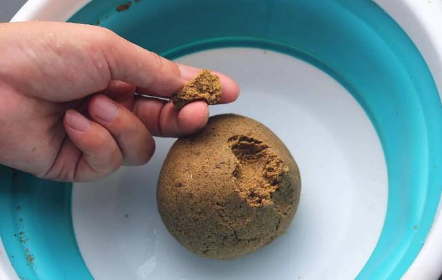 钓鲤鱼的绝招和技巧，钓鱼高手的擒鲤