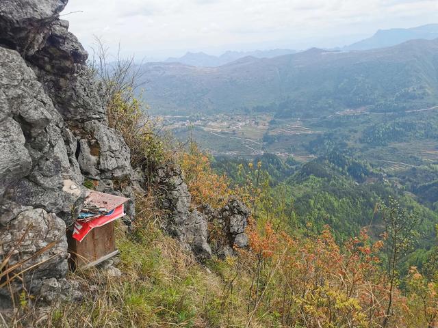 蜀地深山野生蜂蜜，贵州大山里的野生土蜂蜜