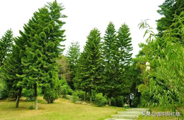 风水学屋前屋后有坟，俗话说“宅前有庙后有坟