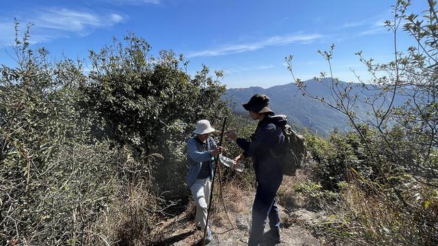 广州徒步登山经典路线，​黄埔秘境在这里